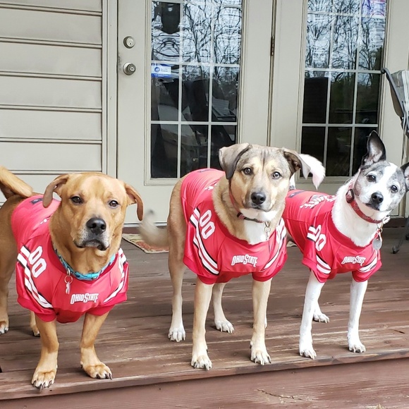 Meet your Posher, Jenni - Picture 2 of 2